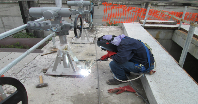 lorem ipsum dolor sit